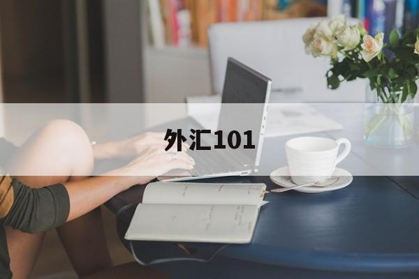 外汇101(外汇110app官方下载)