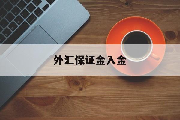 外汇保证金入金(外汇保证金入金怎么做账)